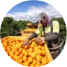 research program 2 icon